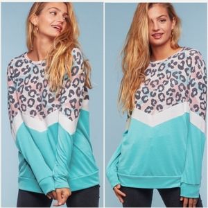 Pastel Leopard/chevron stripe sweater(small)